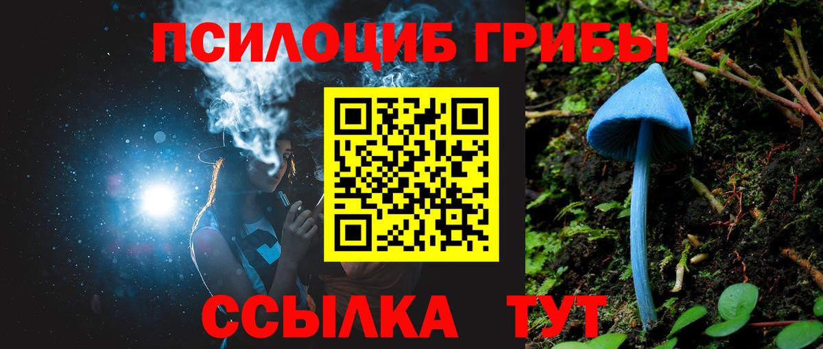 Галлюциногенные грибы GOLDEN TEACHER Берёзовский