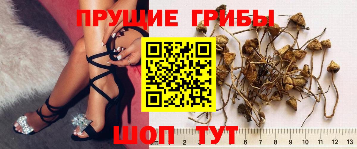 Псилоцибиновые грибы мухоморы  Вход с VPN  Берёзовский  цены наркотик  Галлюциногенные грибы ЛСД 